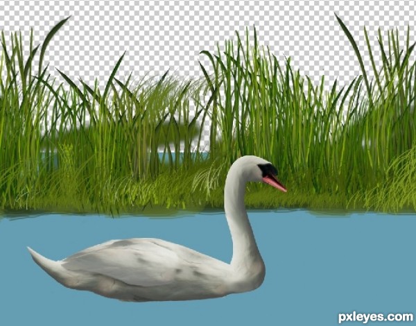 Creation of Swan: Step 17